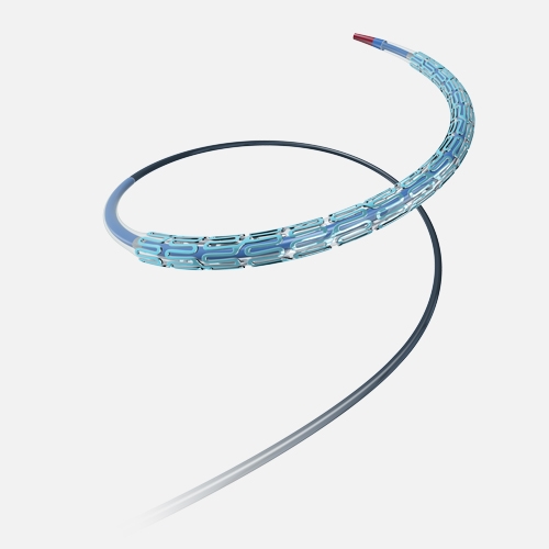 SYNERGY™ XD: Bioabsorbable Polymer Drug-Eluting Stent