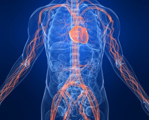 Treatment for ED